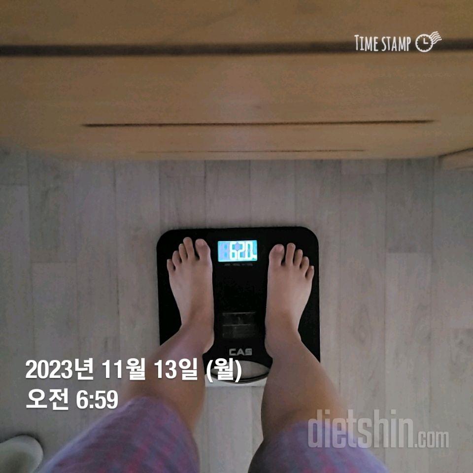 [다신22기] 13일차 체중+눈바디+식단