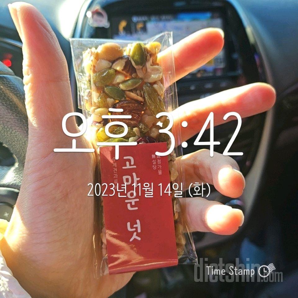 12일차 체중/식단/오운완