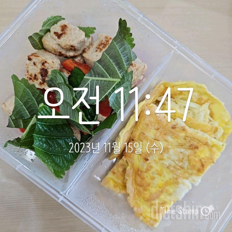 13일차 오운완/식단/체중