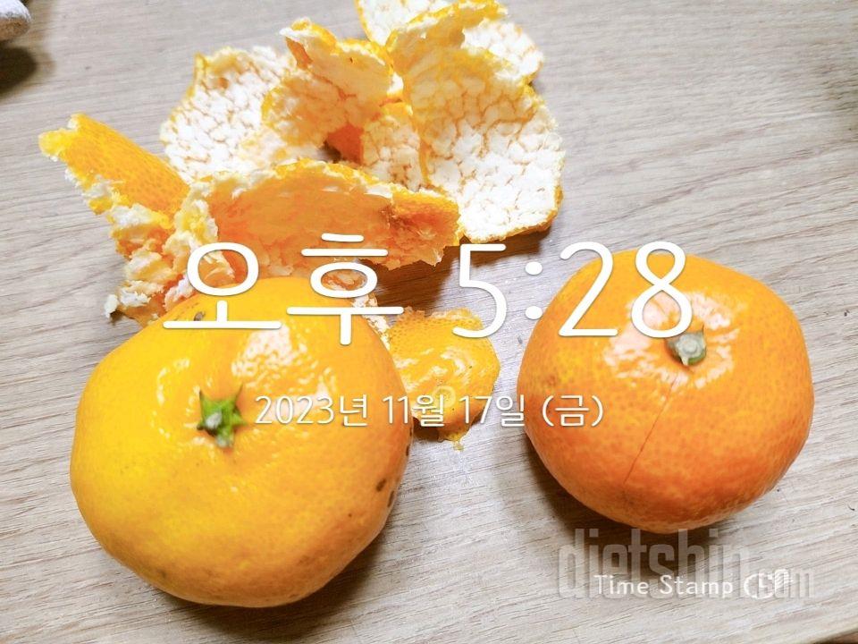 D-13) 11.17.금  야식