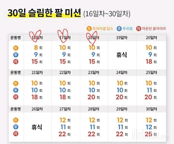 30일 슬림한 팔18일차 성공!