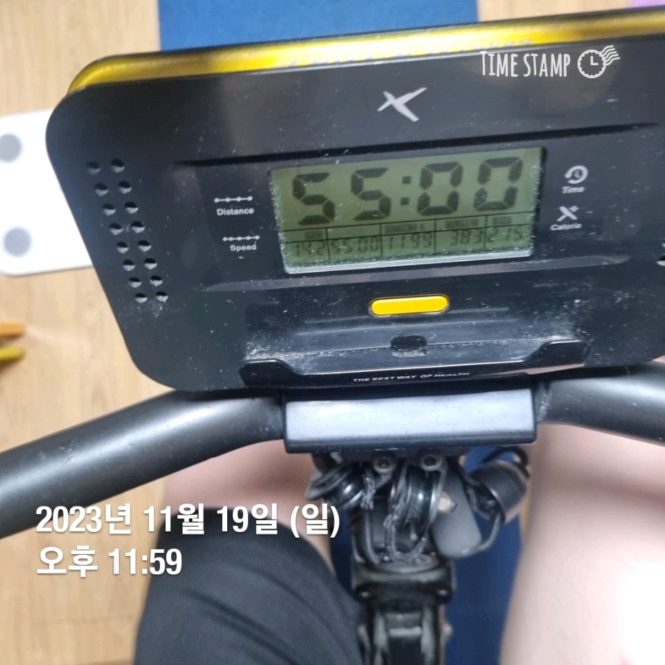 11월 19일( 운동 300kcal)