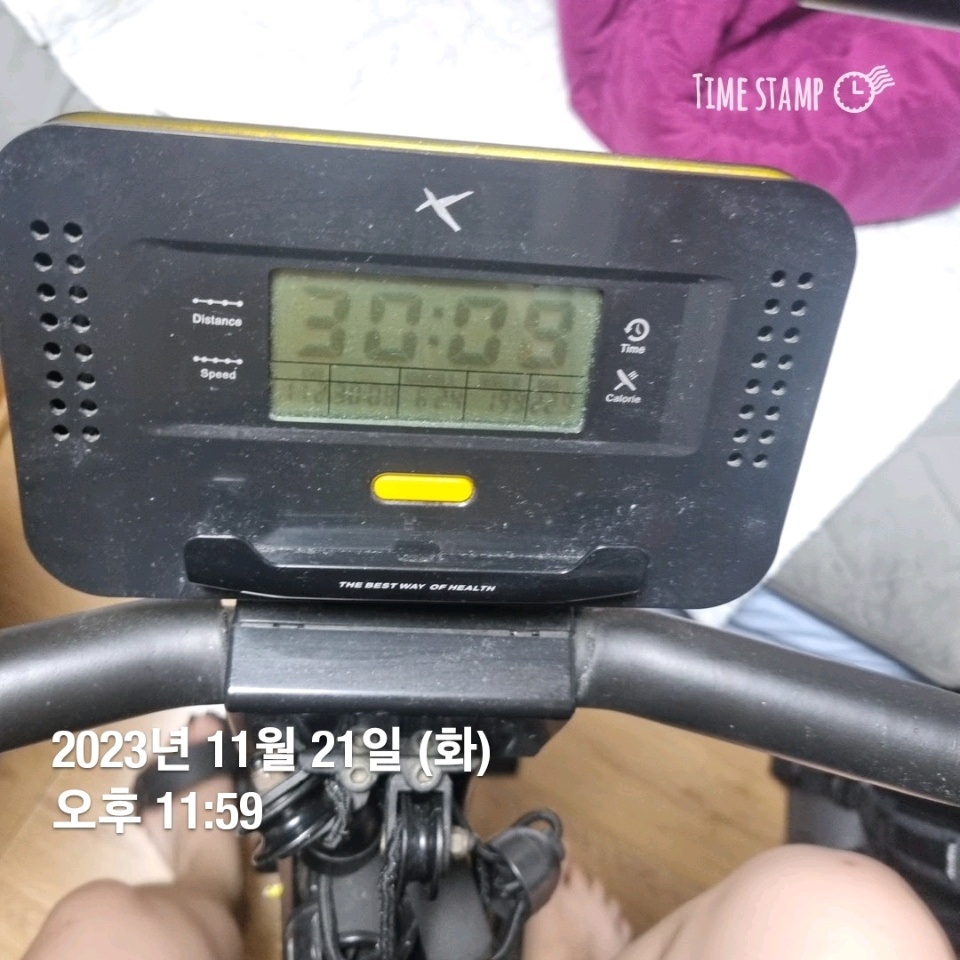 11월 21일( 운동 484kcal)