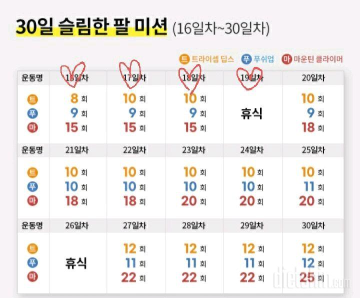 30일 슬림한 팔19일차 성공!