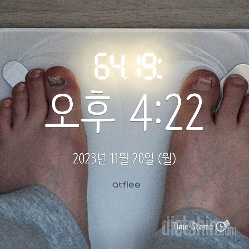 [다신22기]20일차 몸무게&식단&오.운.완