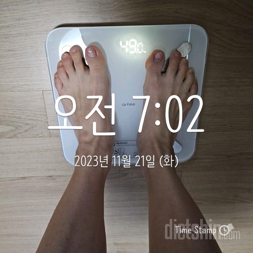 19일차 체중/식단/오운완