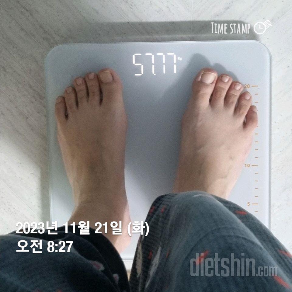 [다신 22기] 18일차 공복몸무게 식단인증 운동