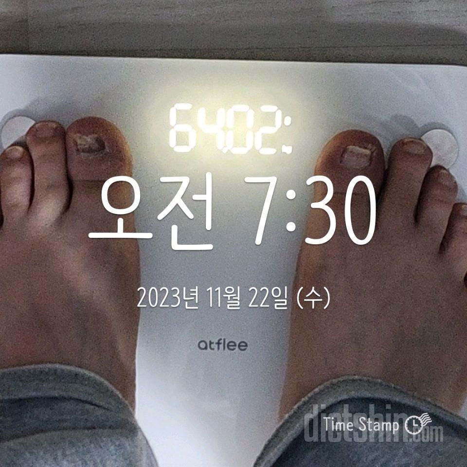 [다신22기]22일차 몸무게&식단&오.운.완