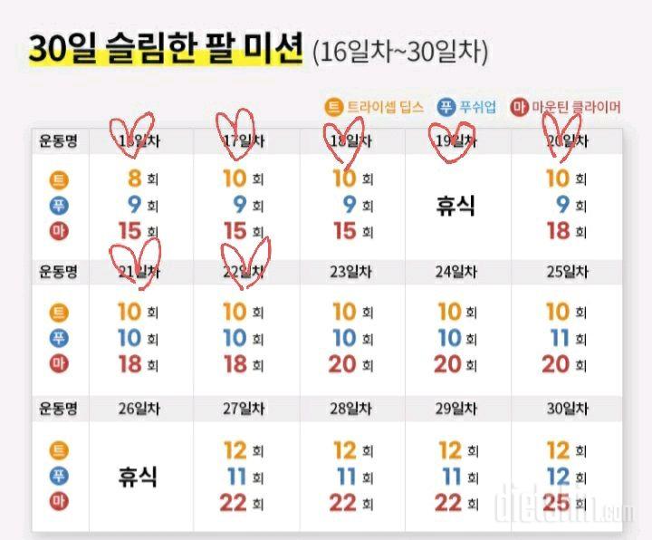 30일 슬림한 팔22일차 성공!