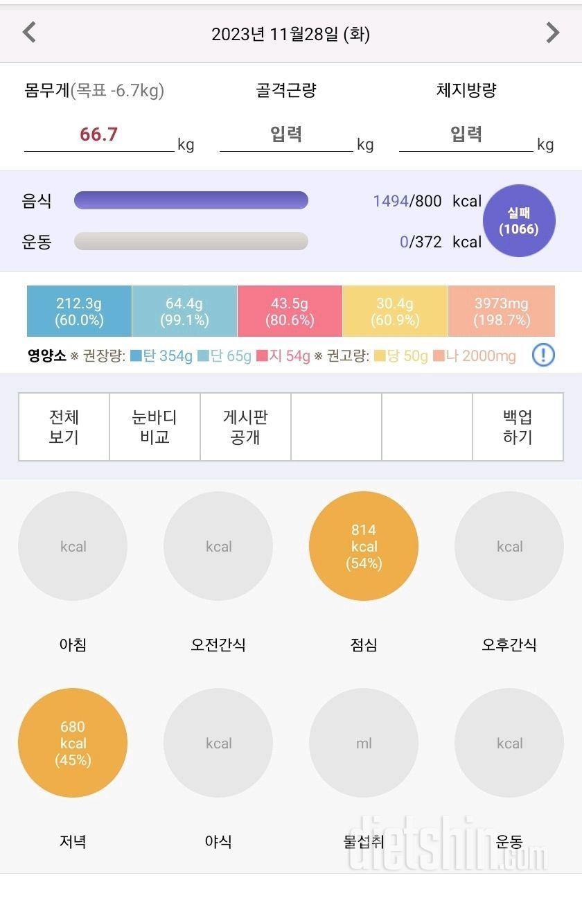 11월 28일 약 2주차