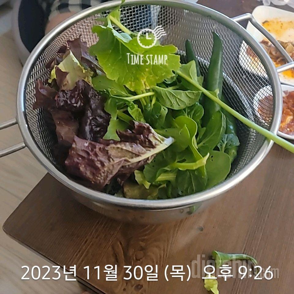 7일 하루 1끼 야채먹기9일차 성공!