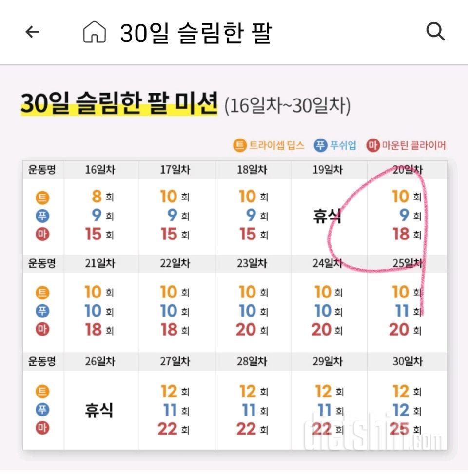 30일 슬림한 팔80일차 성공!