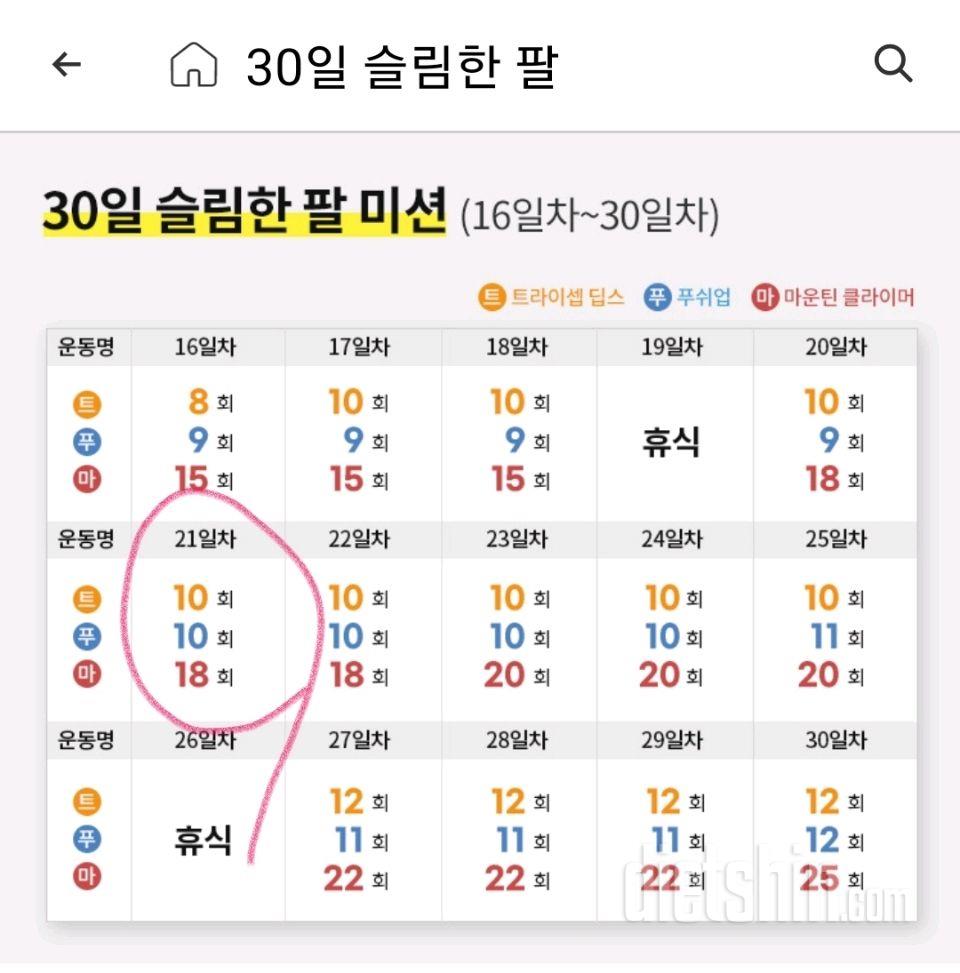 30일 슬림한 팔81일차 성공!