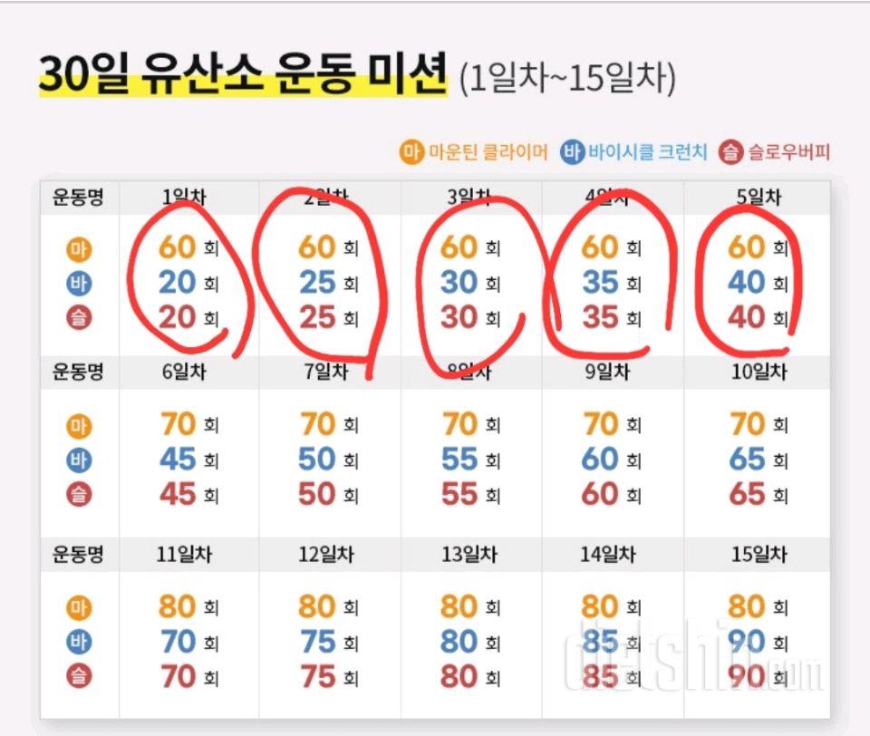 30일 유산소 운동5일차 성공!