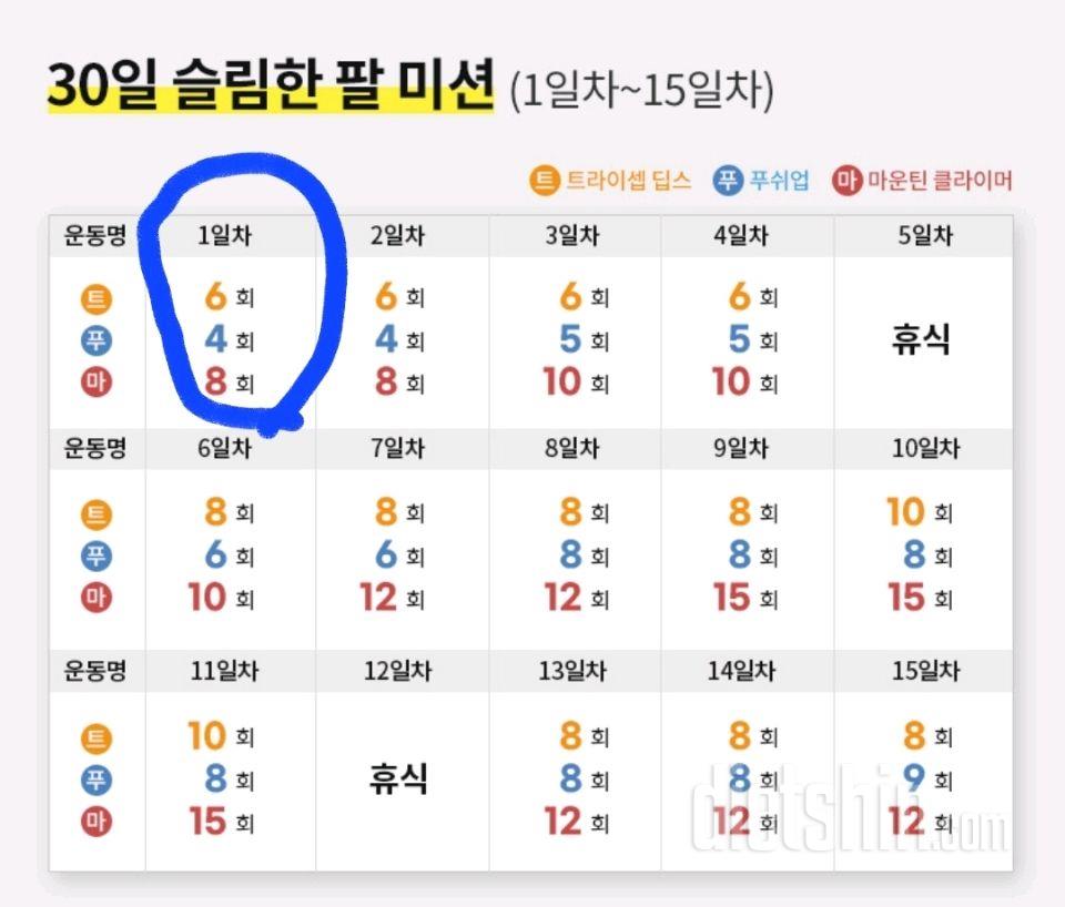 30일 슬림한 팔 1일차 성공!