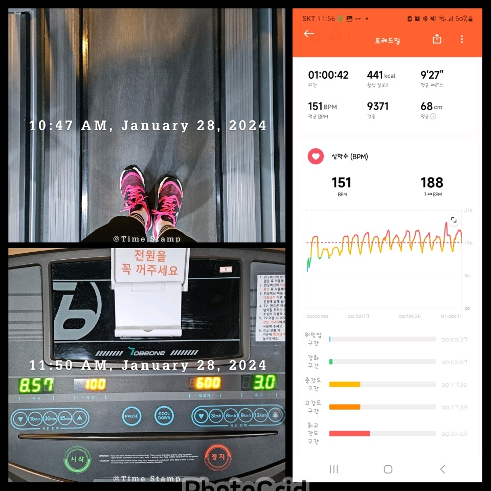 01월 28일( 운동 441kcal)