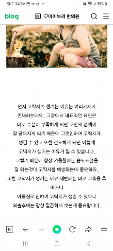 썸네일