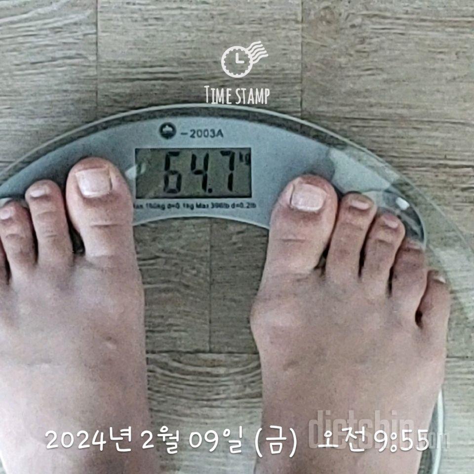 7일 아침 몸무게 재기11일차 성공!