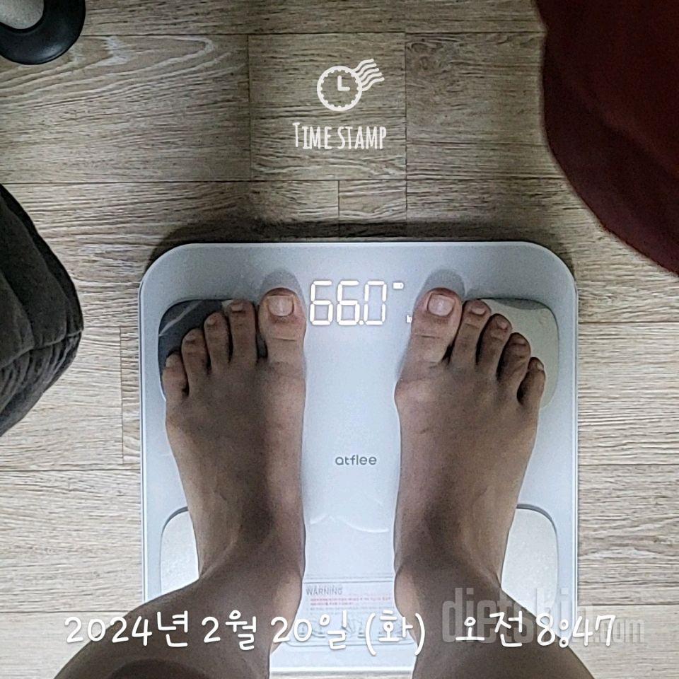 7일 아침 몸무게 재기23일차 성공!