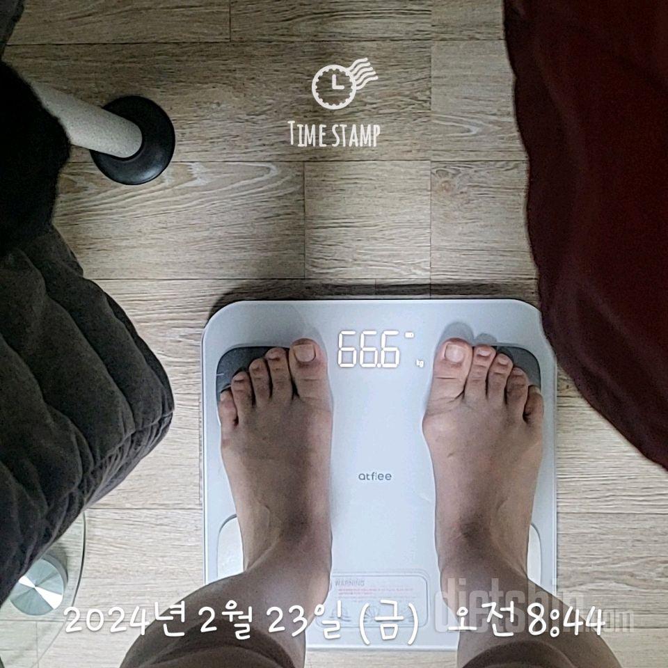 7일 아침 몸무게 재기25일차 성공!