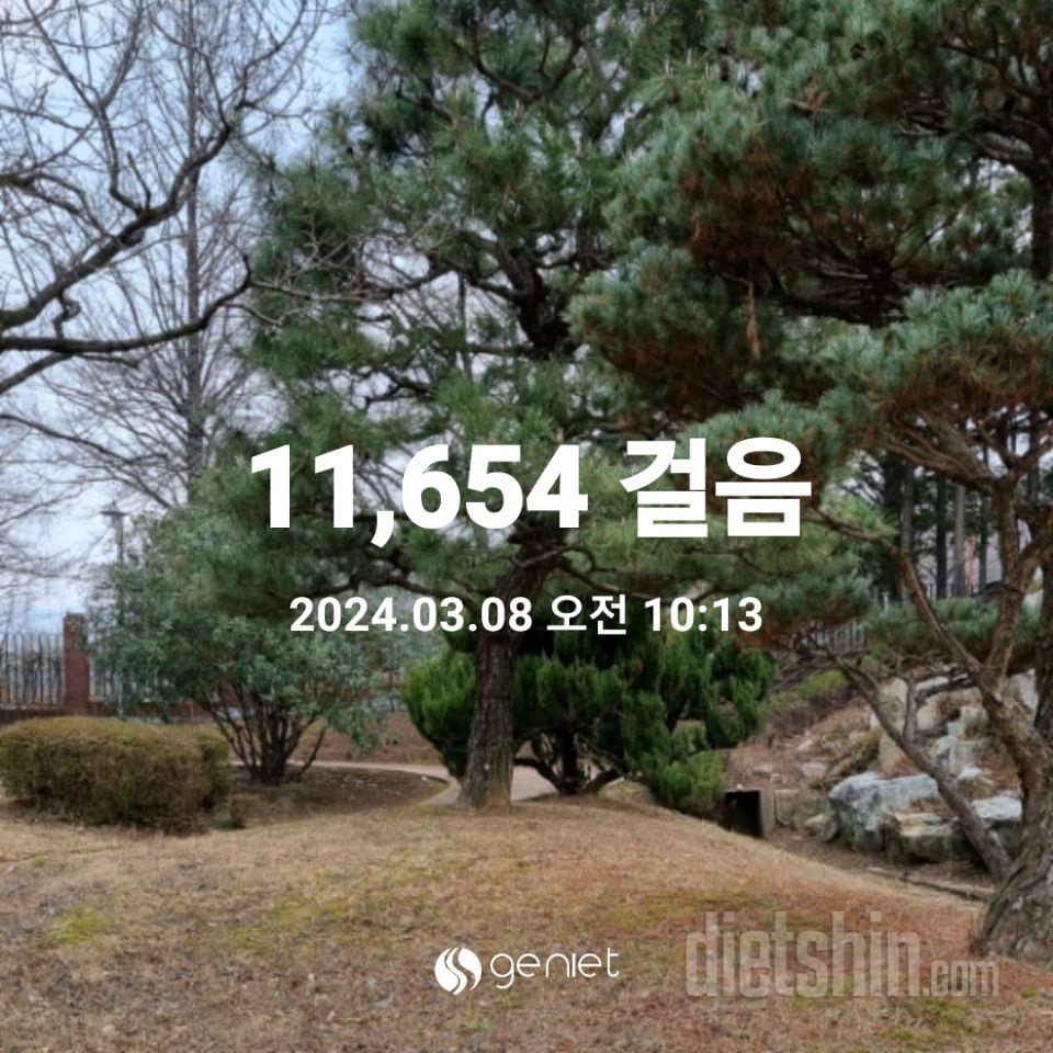 30일 만보 걷기42일차 성공!