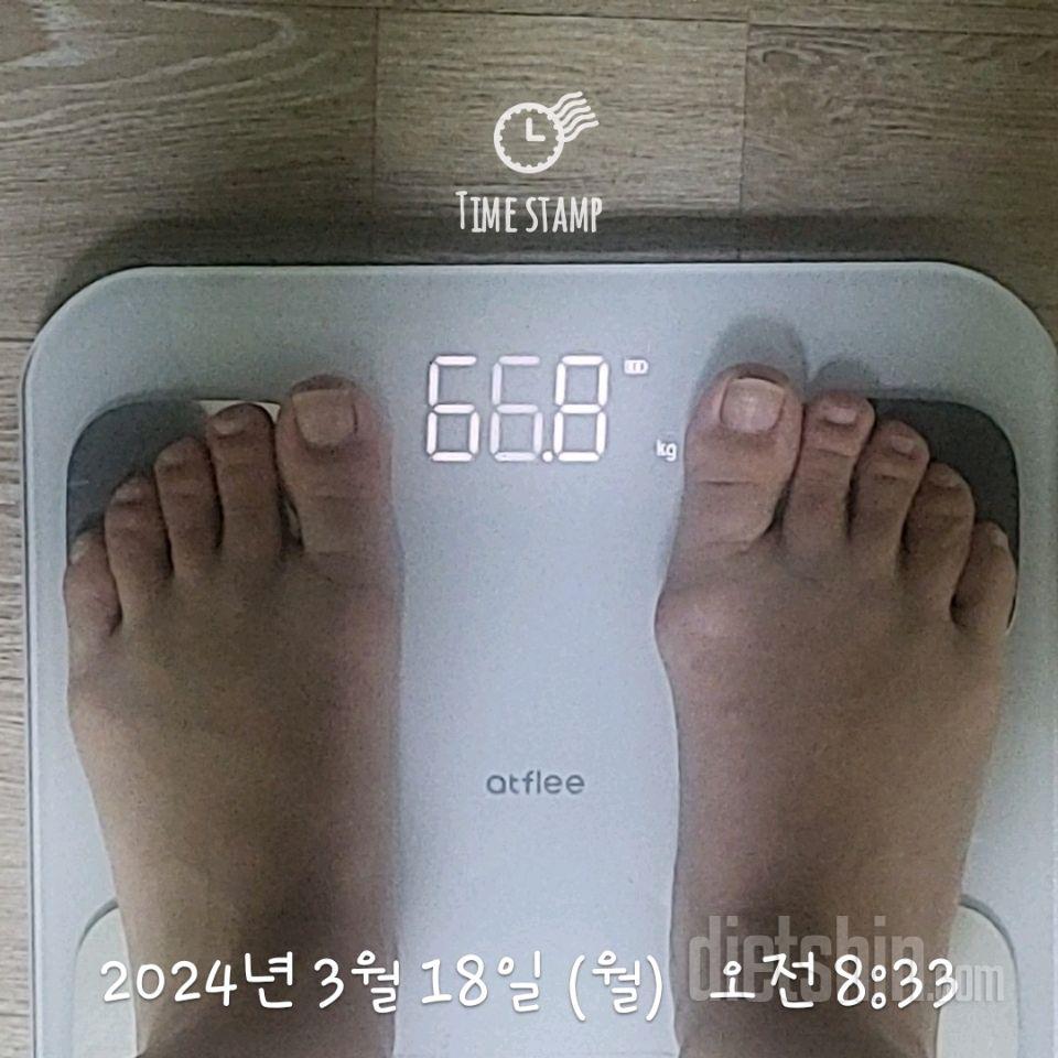 7일 아침 몸무게 재기22일차 성공!