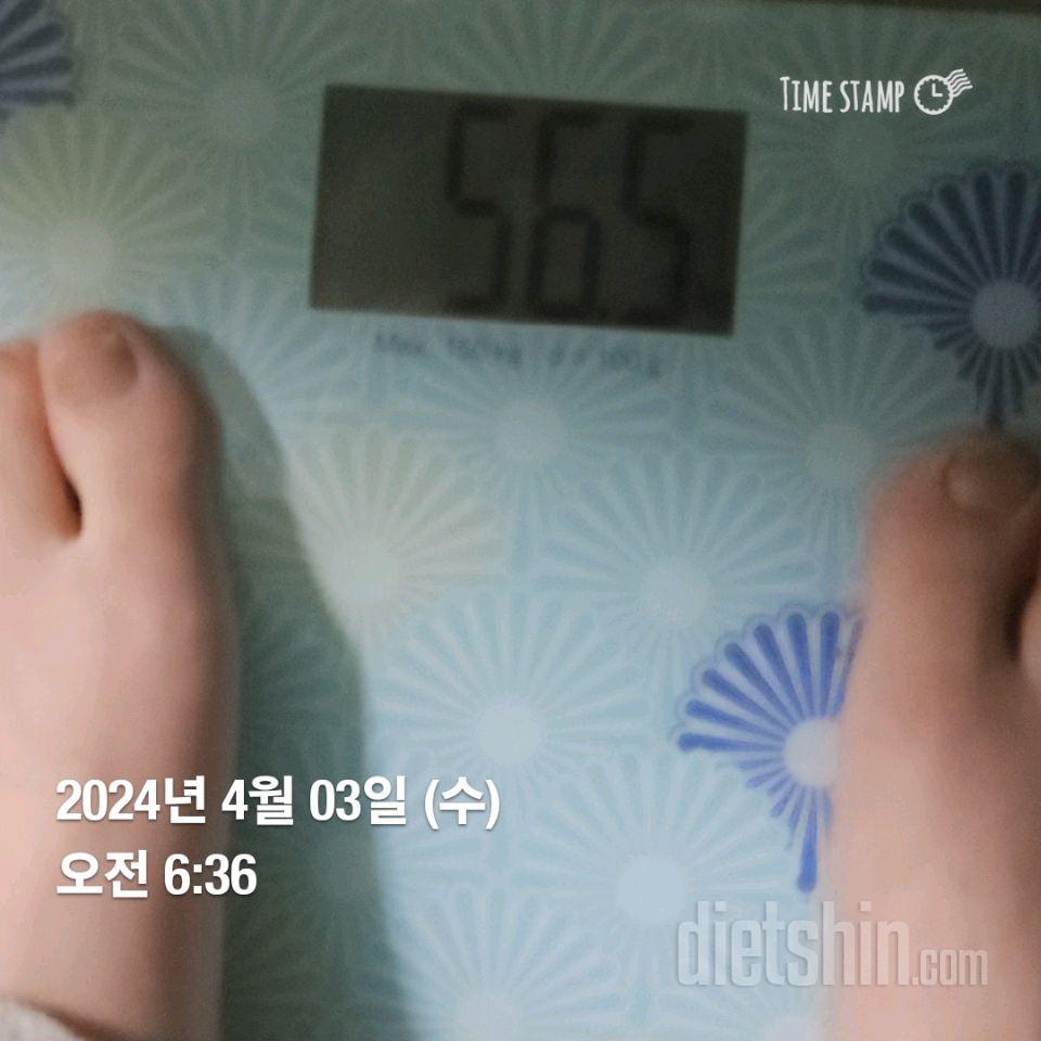 다신 24기 3일차 식단&운동