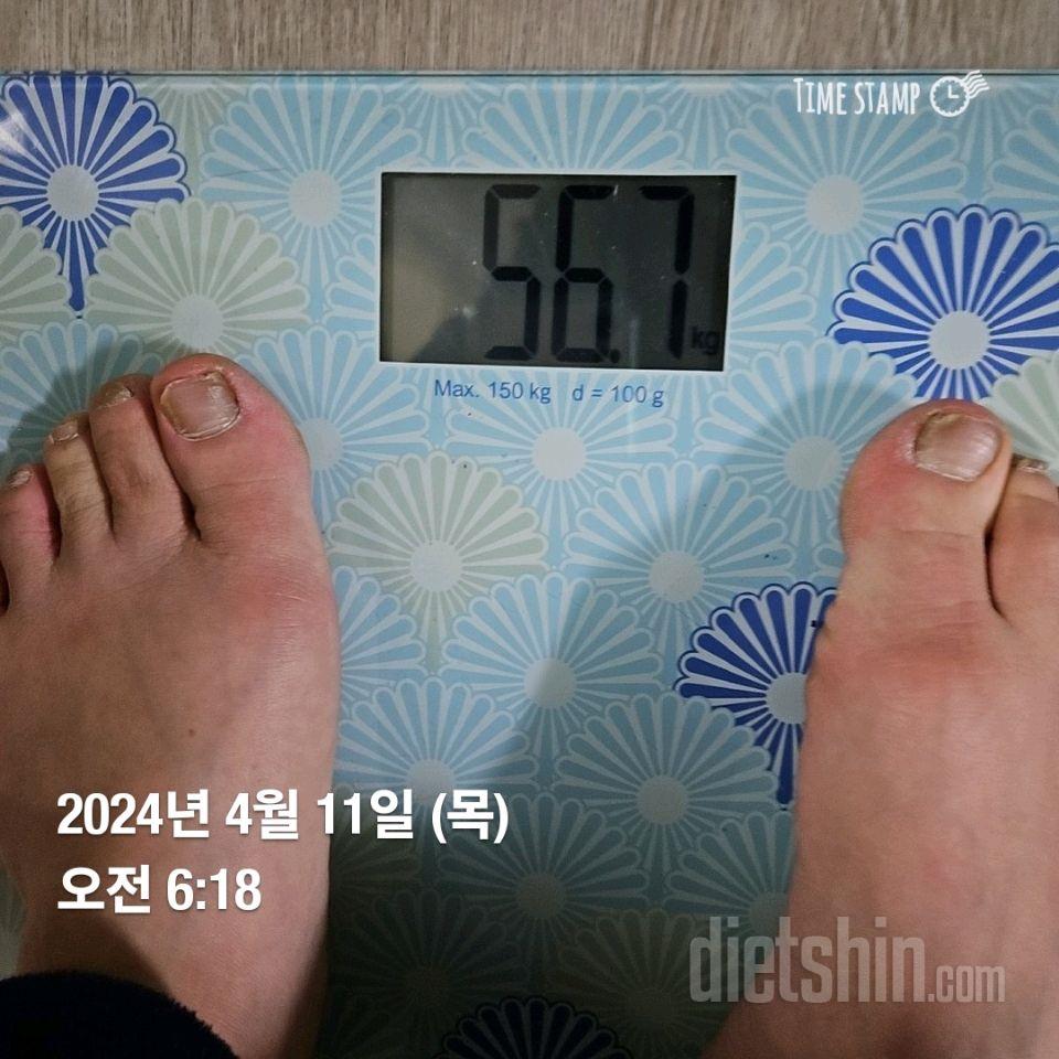 다신24기 11일차 체중&운동&식단