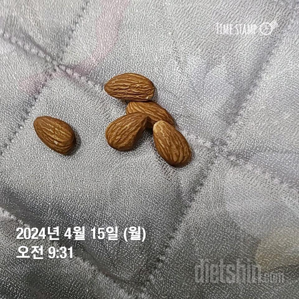 이젠 더망할수없다