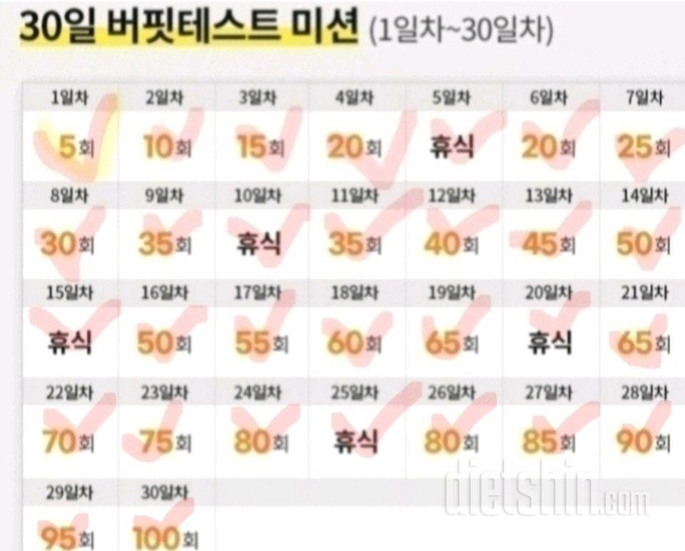 30일 버핏 테스트17일차 성공!