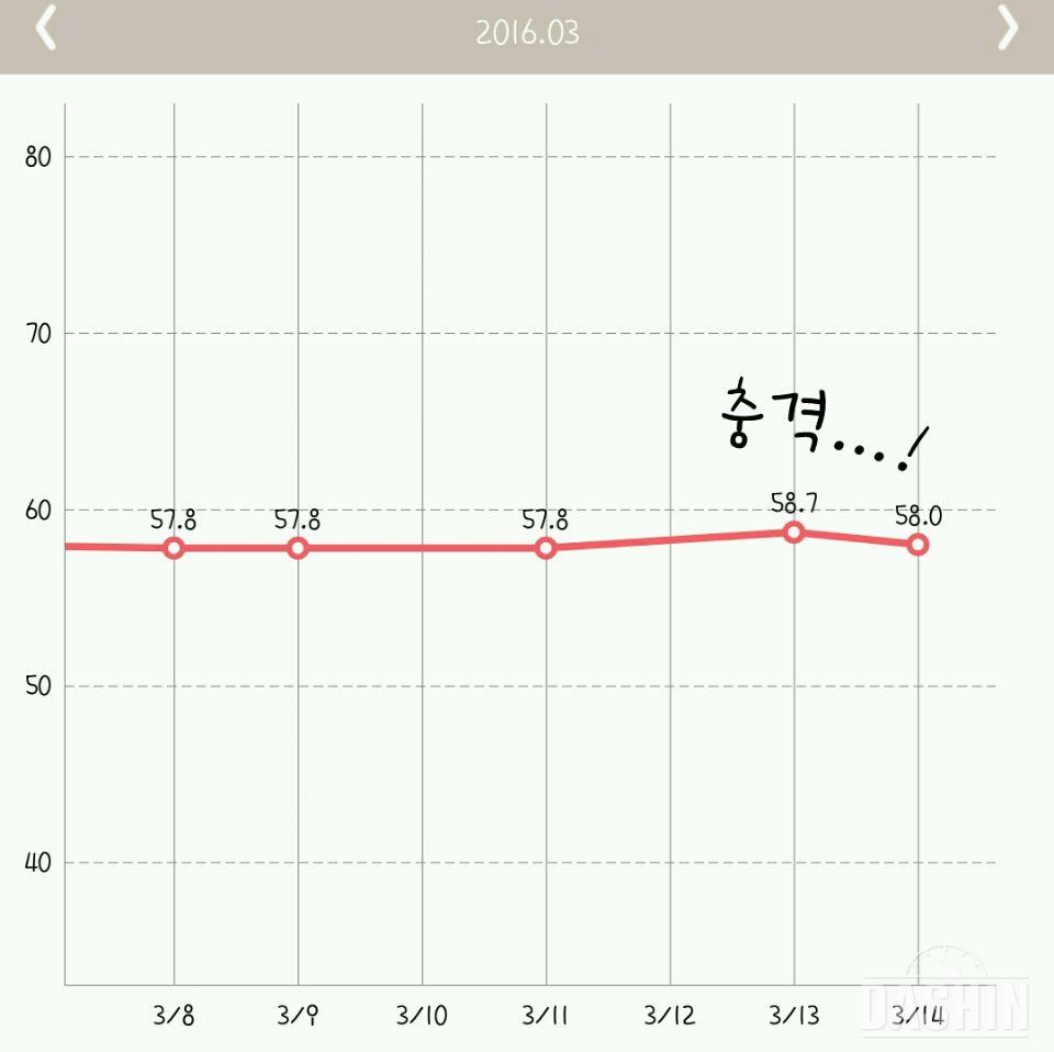 💙메이플트리 키토산 다이어트 03.07-03.13 후기