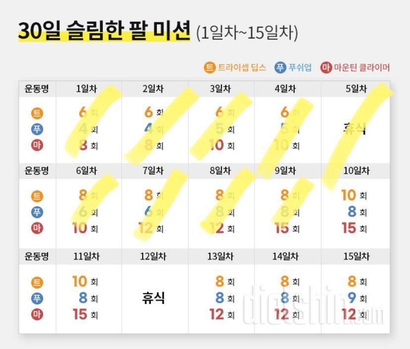 30일 슬림한 팔9일차 성공!