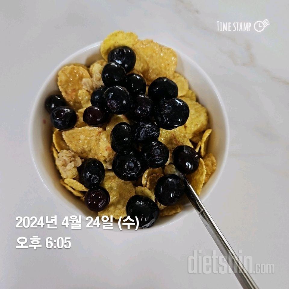 4/24일 식단 및 운동