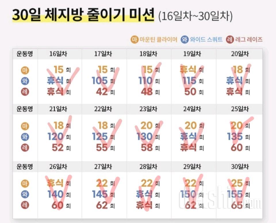 30일 체지방 줄이기31일차 성공!