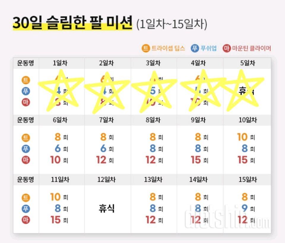 30일 슬림한 팔5일차 성공!