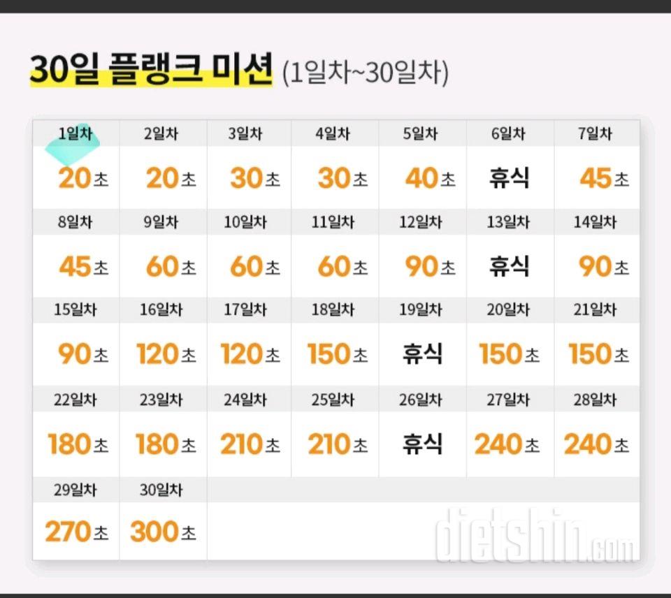 30일 플랭크1일차 성공!