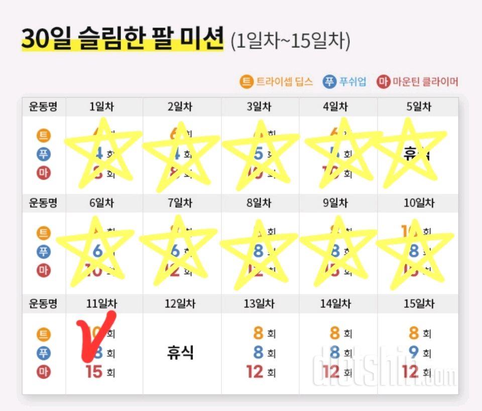 30일 슬림한 팔11일차 성공!