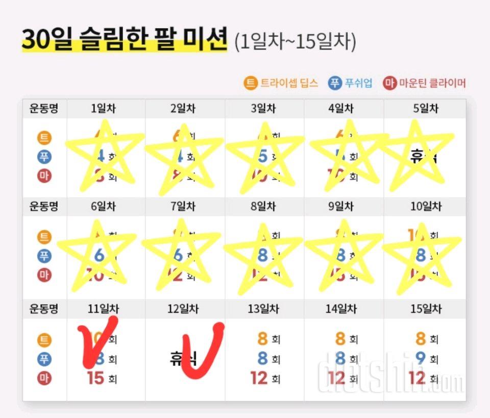 30일 슬림한 팔12일차 성공!