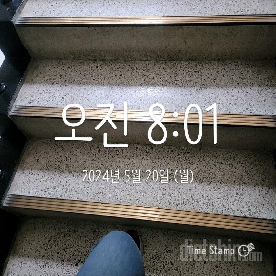 15일 계단 오르기33일차 성공!