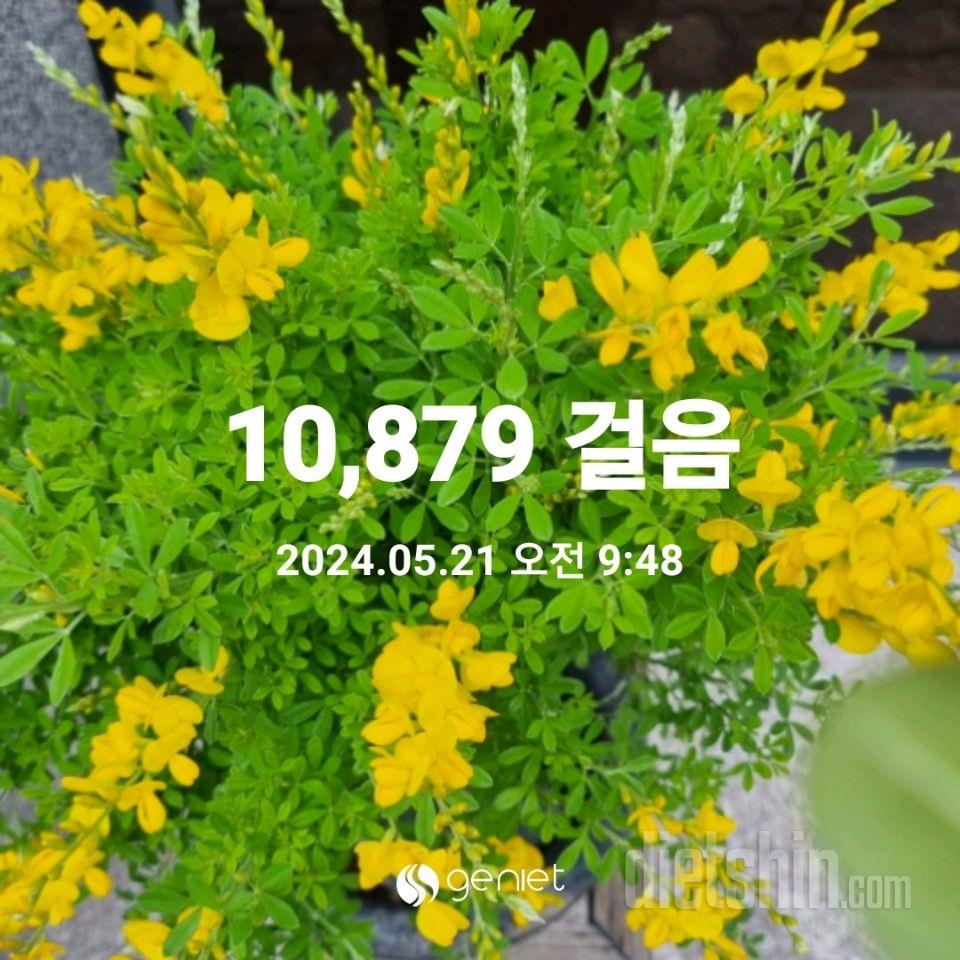 30일 유산소 운동113일차 성공!