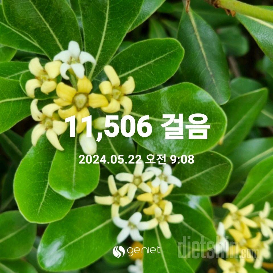 30일 만보 걷기96일차 성공!