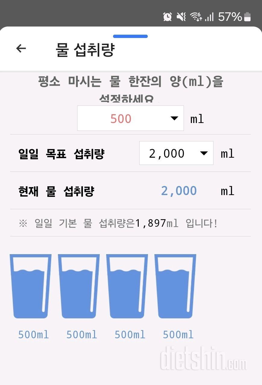 30일 하루 2L 물마시기46일차 성공!