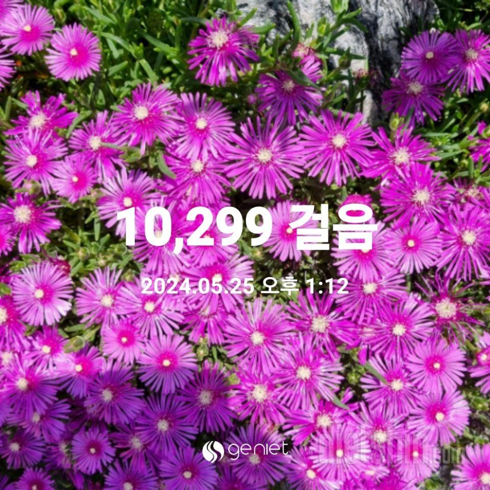 30일 만보 걷기99일차 성공!