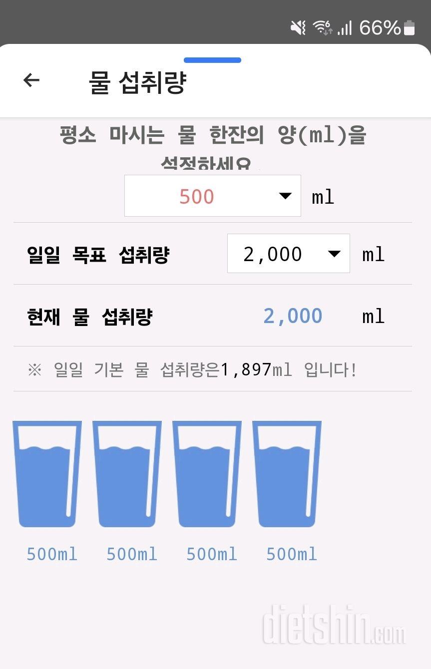 30일 하루 2L 물마시기50일차 성공!