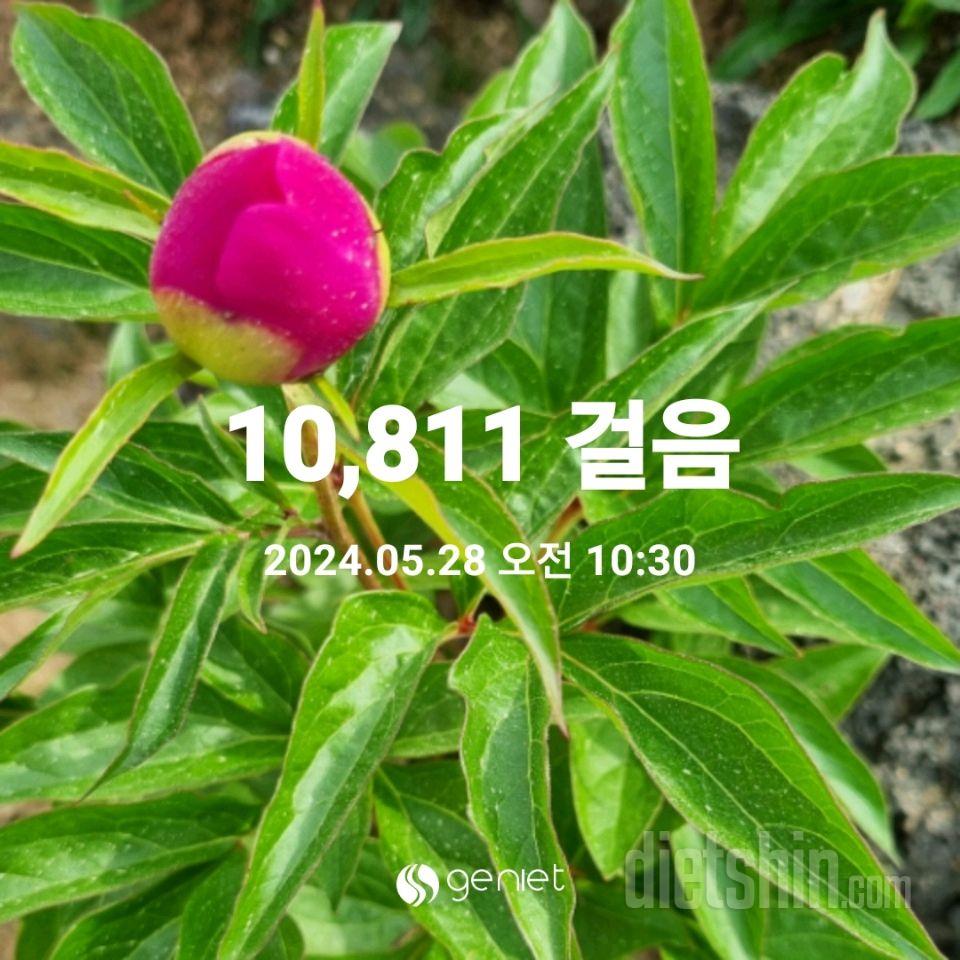 30일 유산소 운동120일차 성공!
