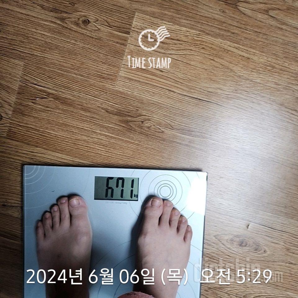 7일 아침 몸무게 재기174일차 성공!