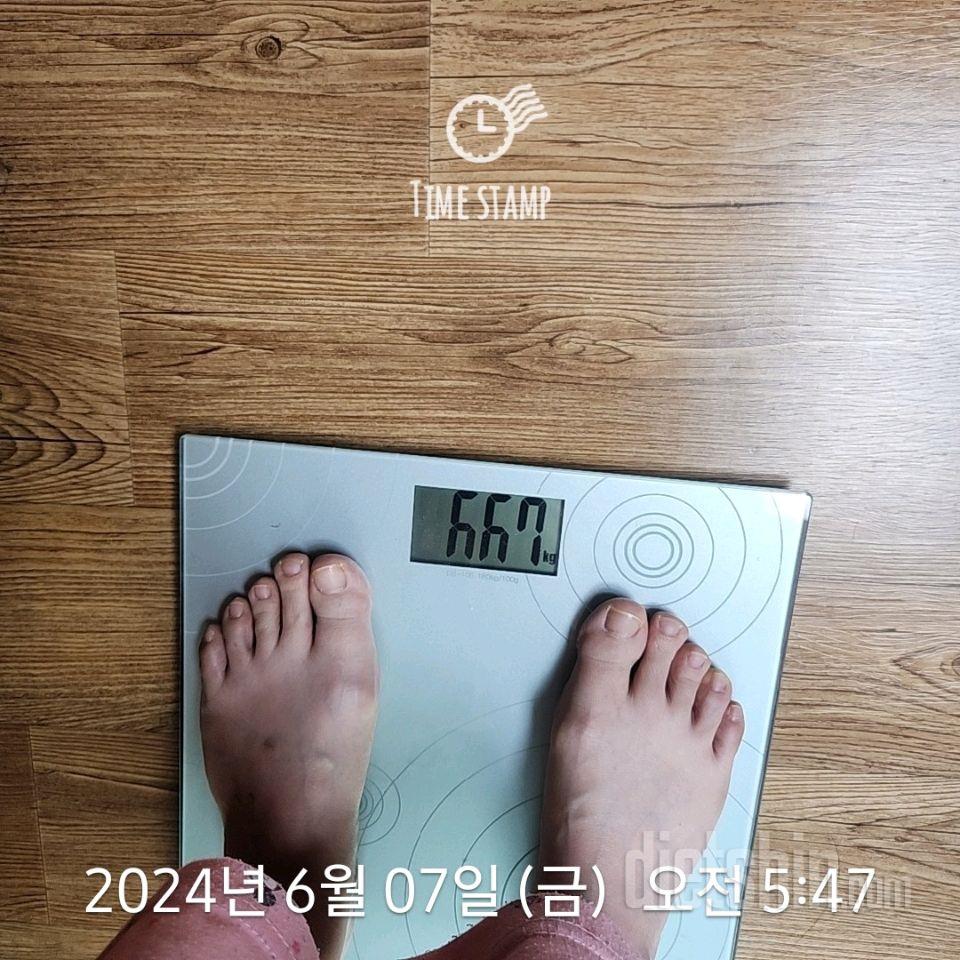 7일 아침 몸무게 재기175일차 성공!