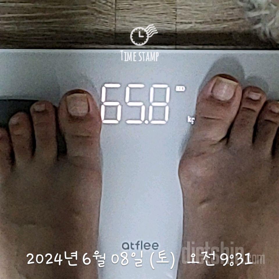 7일 아침 몸무게 재기6일차 성공!