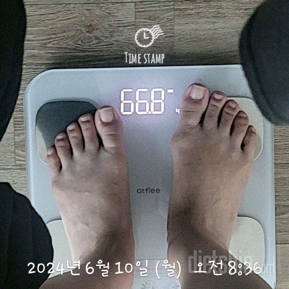 7일 아침 몸무게 재기8일차 성공!