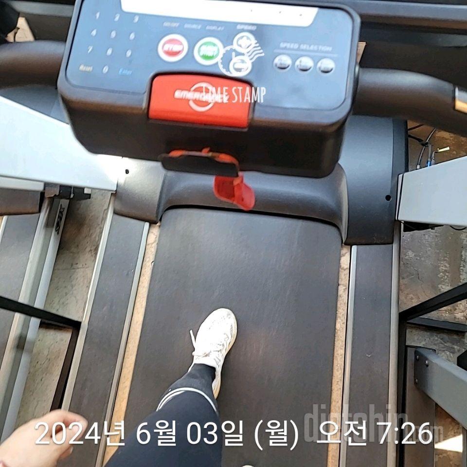 6월   보고 ㅡ생존 확인